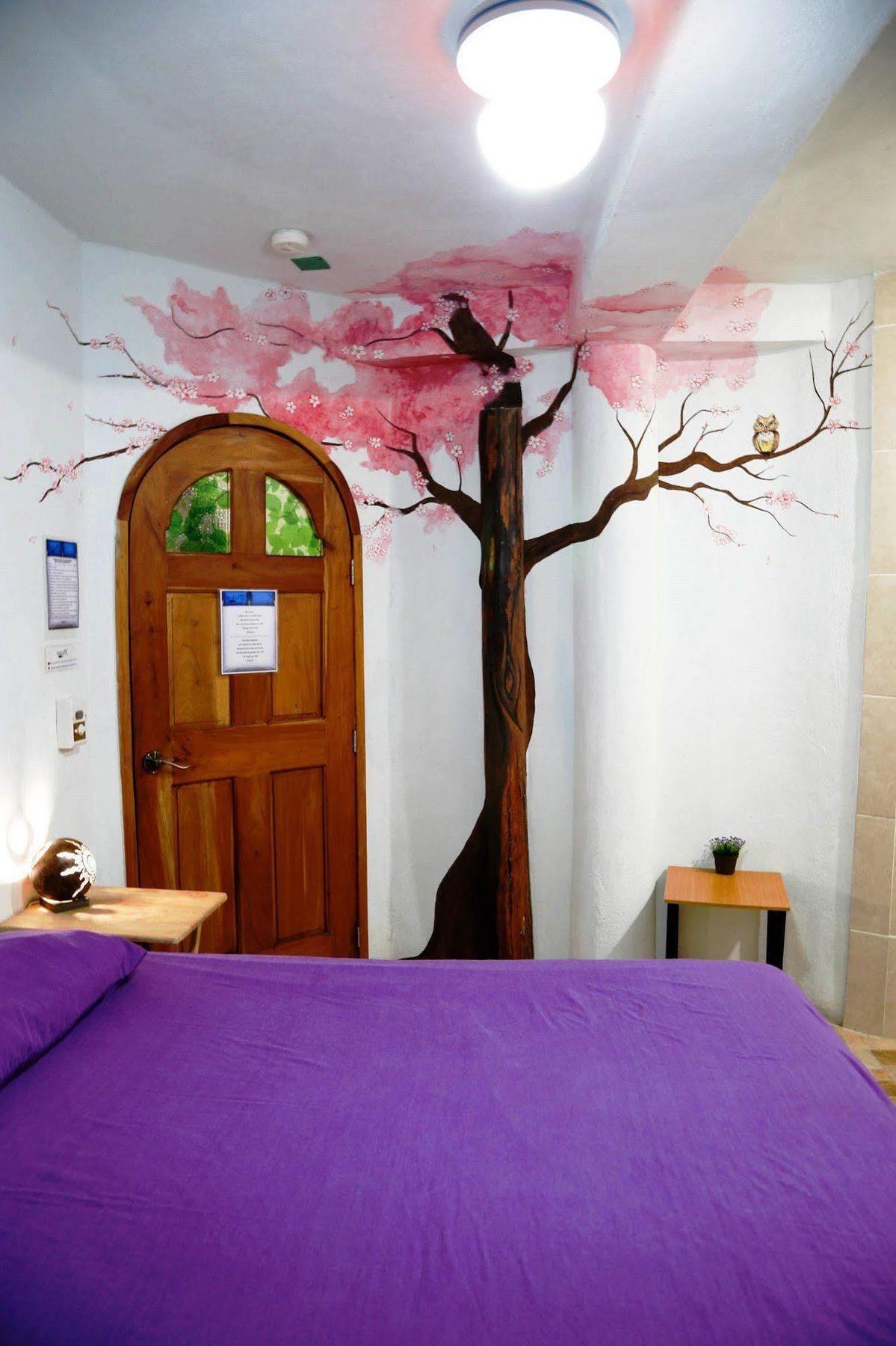 Hostel Natura كانكون المظهر الخارجي الصورة
