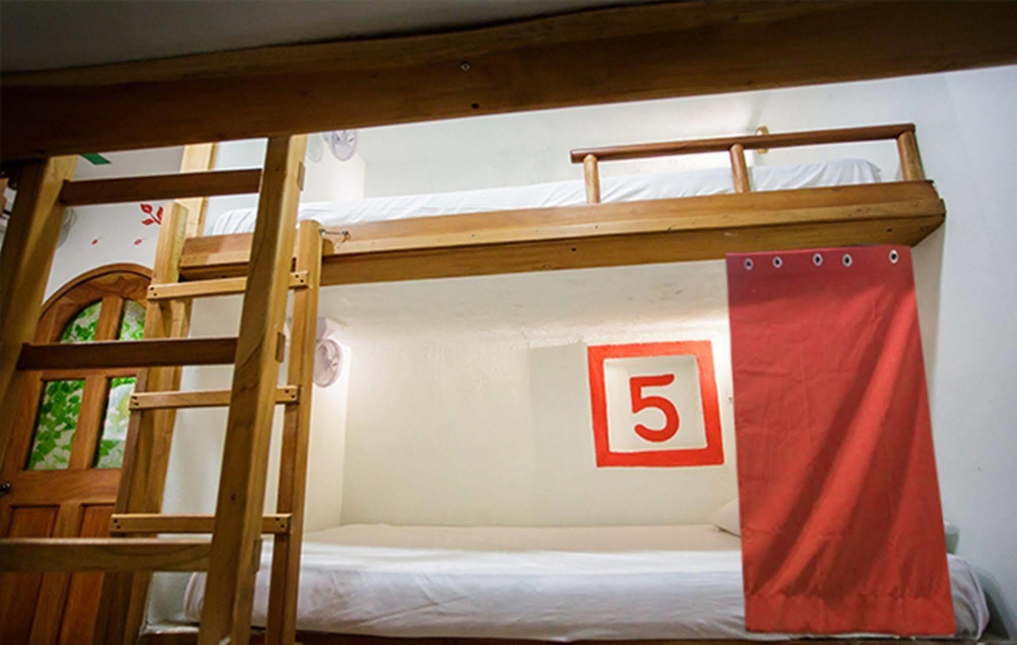 Hostel Natura كانكون المظهر الخارجي الصورة
