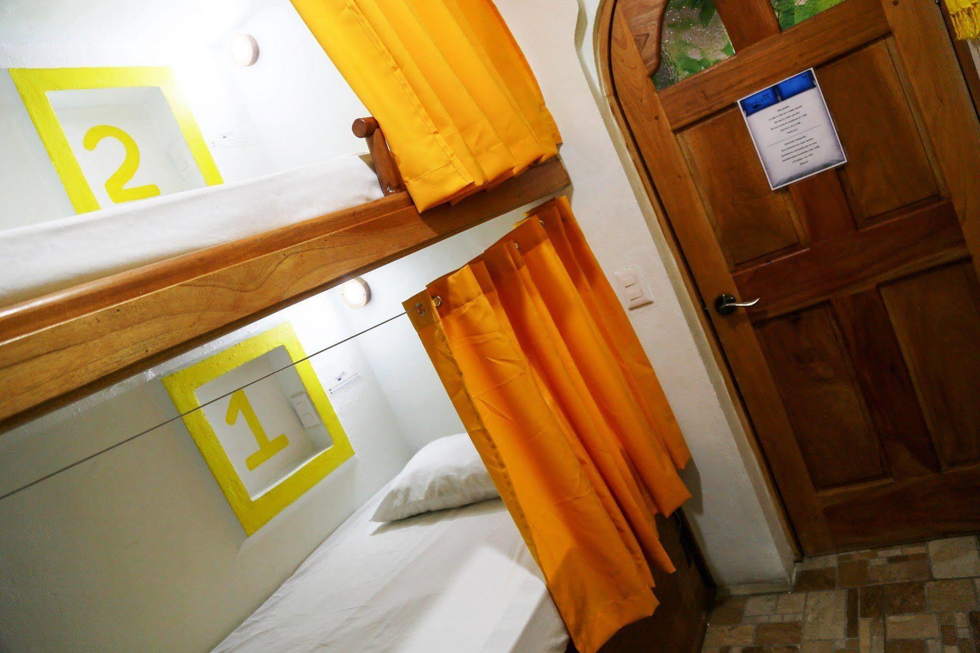 Hostel Natura كانكون المظهر الخارجي الصورة